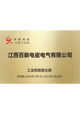 专精特新“小巨人”企业