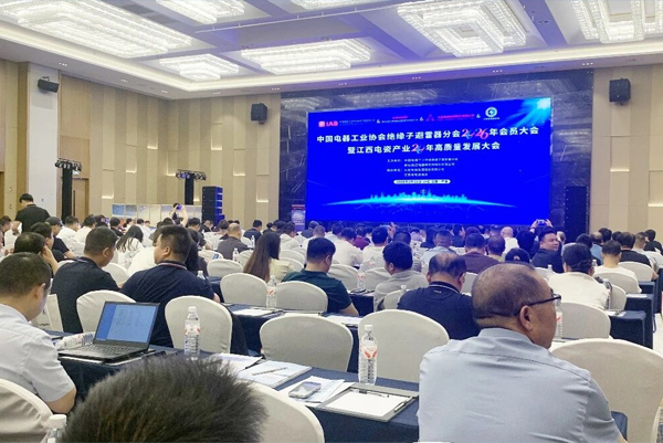 行业盛会共绘发展新篇｜凝心聚力共谋绝缘子避雷器行业新未来！