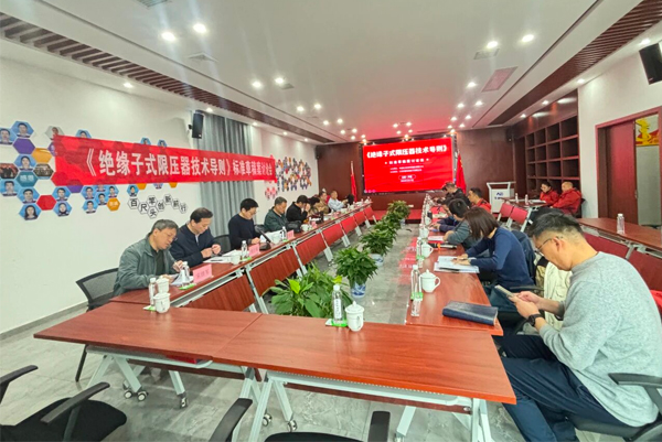 江西百新电瓷协办《绝缘子式限压器技术导则》标准草稿案讨论会成功召开