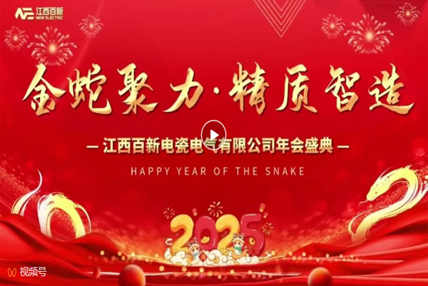 金蛇聚力 精质智造｜百新年会盛典精彩回顾