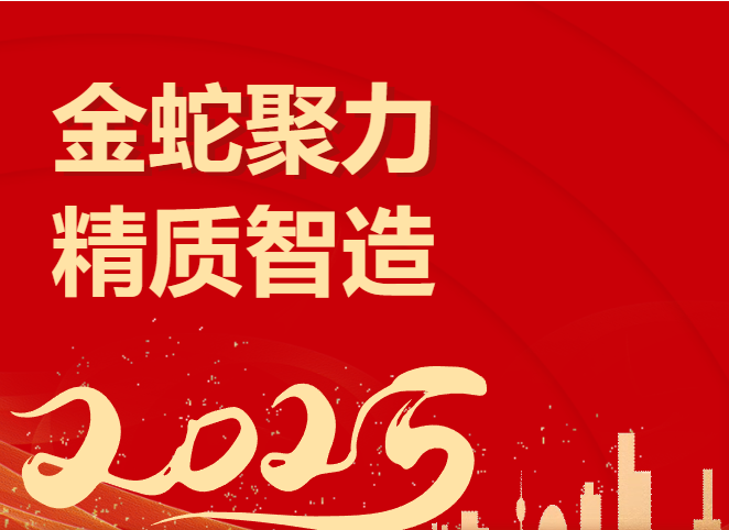 金蛇聚力 精质智造｜百新年会盛典精彩回顾