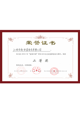 创新创业大赛二等奖