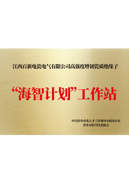 海智计划工作站
