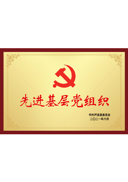 先进基层党组织